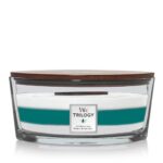 Woodwick Icy Woodland Geurkaars 453,6 g